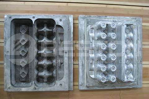 Egg Carton Mold