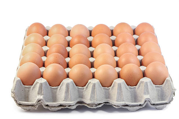 Egg Trays with Huge Demand