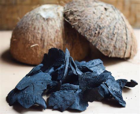 Coconut Shell Charcoal Production