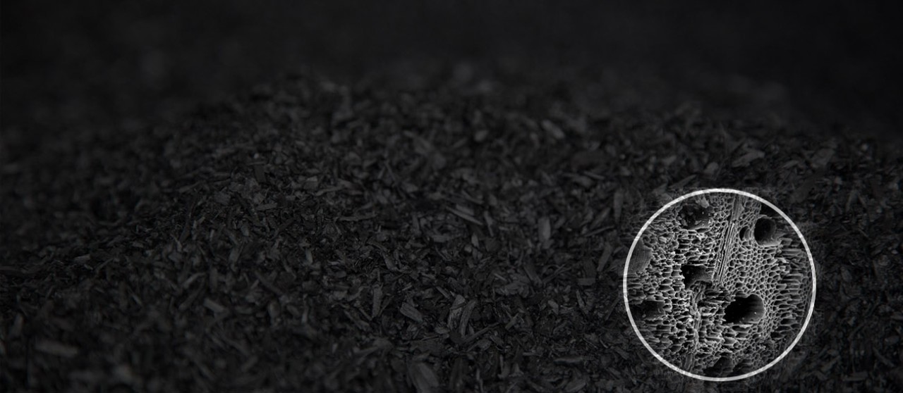 biochar