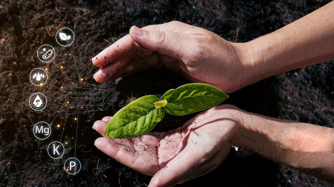 Biochar-Soil-Amendment-Improves-Soil-Quality