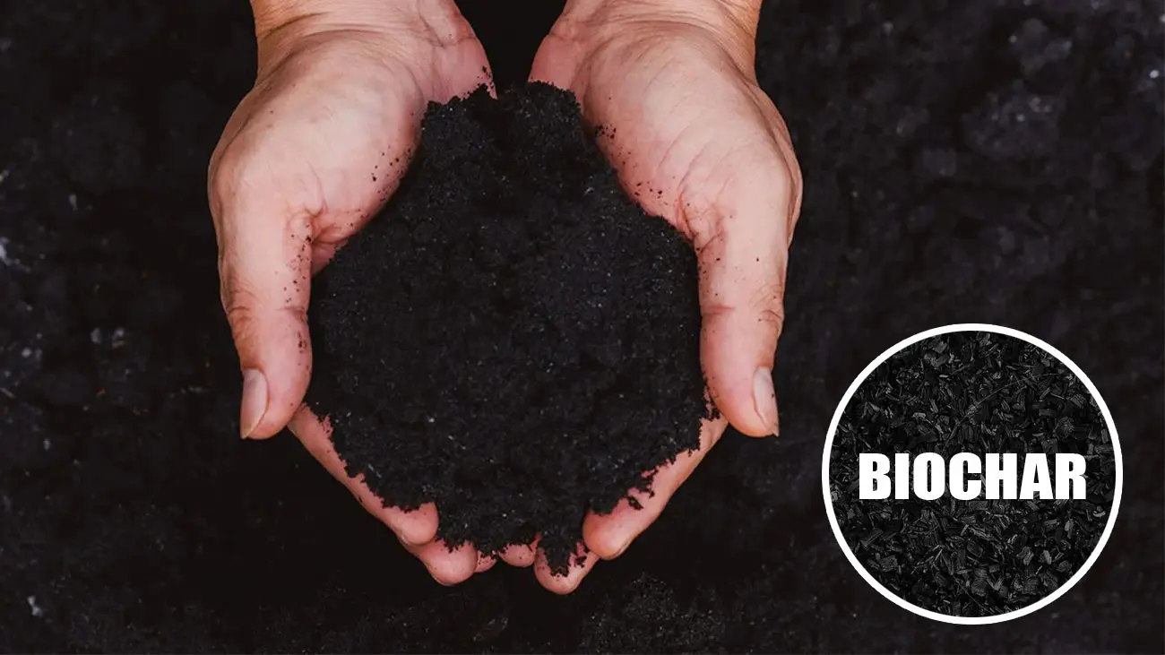What Is Biochar for Soil